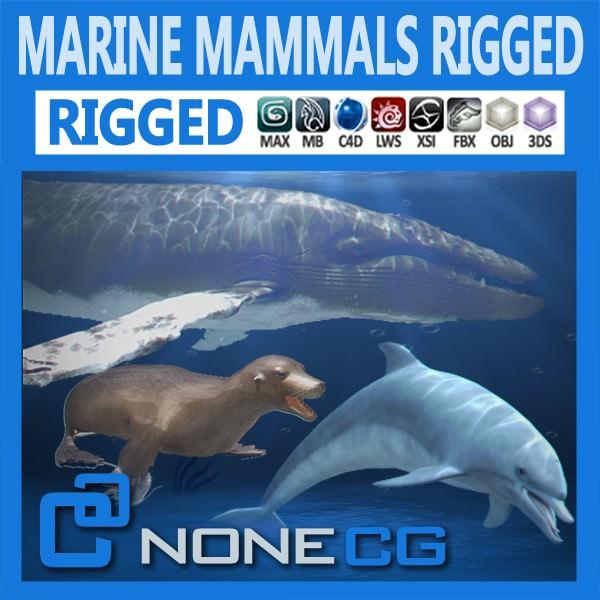 max/c4d/maya海豚和鲸鱼游泳动画模型 pack - marine mammals 3d