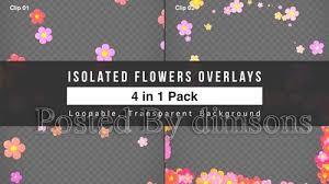 Tropical Jungle and Flowers Pack 23241650