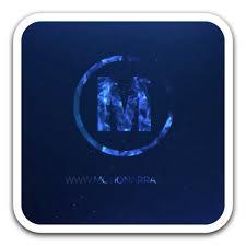 漂亮粒子光线条纹标志揭示动画 Light Streak Logo Reveal
