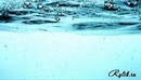 4K Underwater Footage Part 01-缩略图