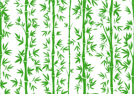 Bamboo Seamless Vector Patterns