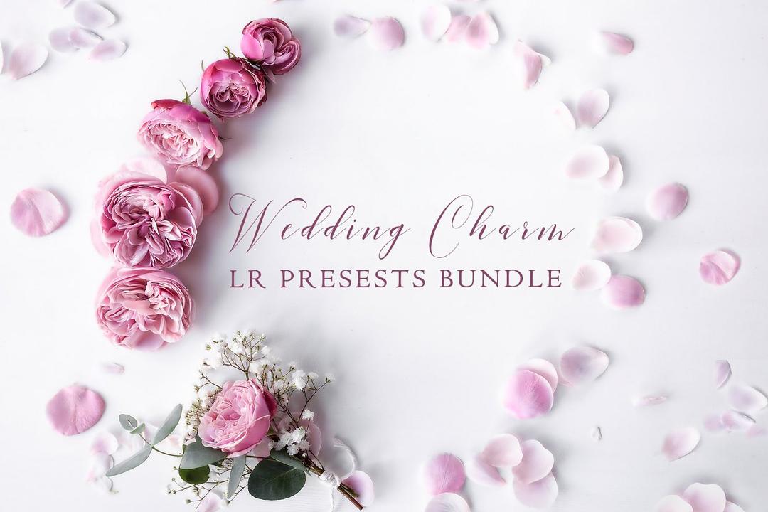 500+ Wedding Charm LR Presets Bundle 2259456