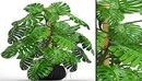 Monstera 4 3d Model-缩略图