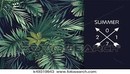 Vector Set - Summer Hawaiian Flyers Design with Green Tropical Plants and Pal...-缩略图