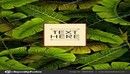 Abstract exotic tropical leaf background vector-缩略图