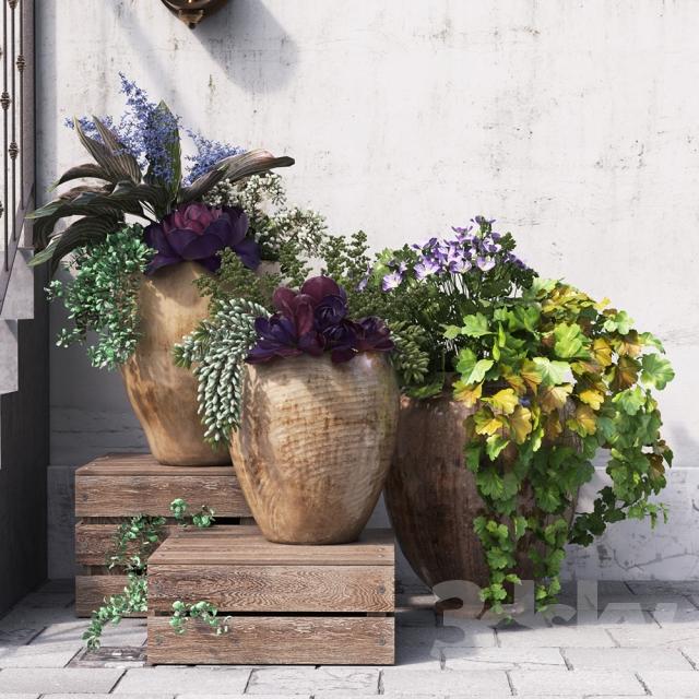 Summer in pots 3d Models MAX | OBj | TEXTURES  Meet summer in pots! Pots suff...
