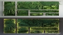 Moss and fern fytowall-缩略图