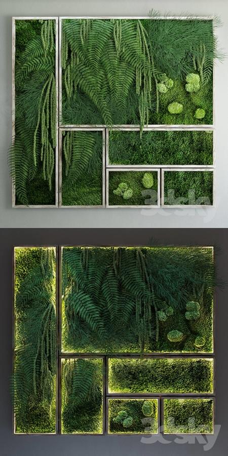 Moss and fern fytowall