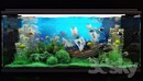 Aquarium水族馆 鱼缸3d模型-缩略图