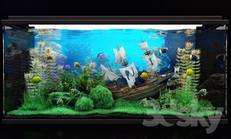Aquarium水族馆 鱼缸3d模型