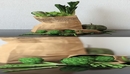 Set of green vegetables-缩略图