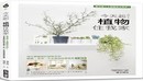 热带植物 龟背竹3D模型、南方大叶植物3D模型：Free Tropical plant Pack-缩略图