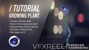 C4D+AE 创建一个成长的树动画教程-缩略图