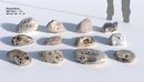 267种光照CG岩石模型合集BlenderGuru: The Rock Essentials -缩略图