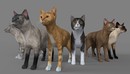 11只名贵宠物猫C4D模型合集 Pet cat 3d model-缩略图