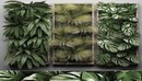 植物墙C4D模型 CGTrader – Vertical Garden 1 3D model-缩略图