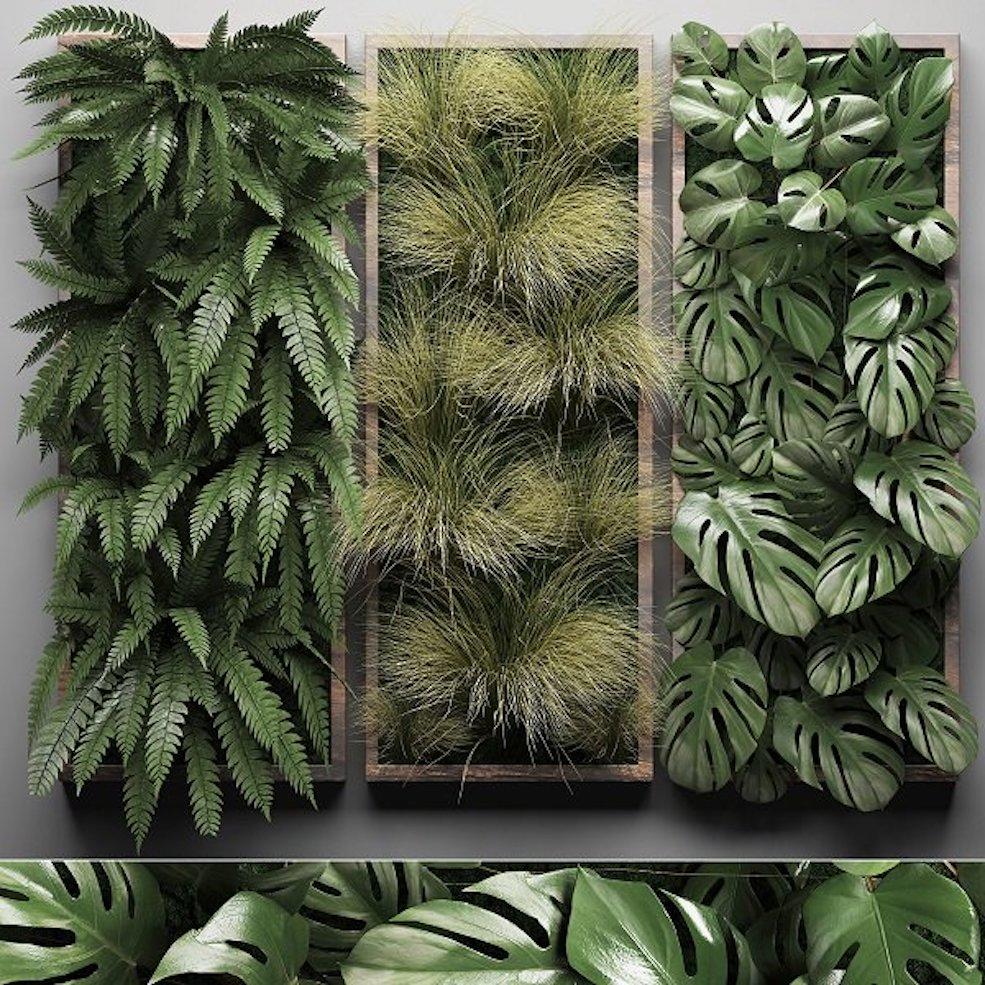 植物墙C4D模型 CGTrader – Vertical Garden 1 3D model