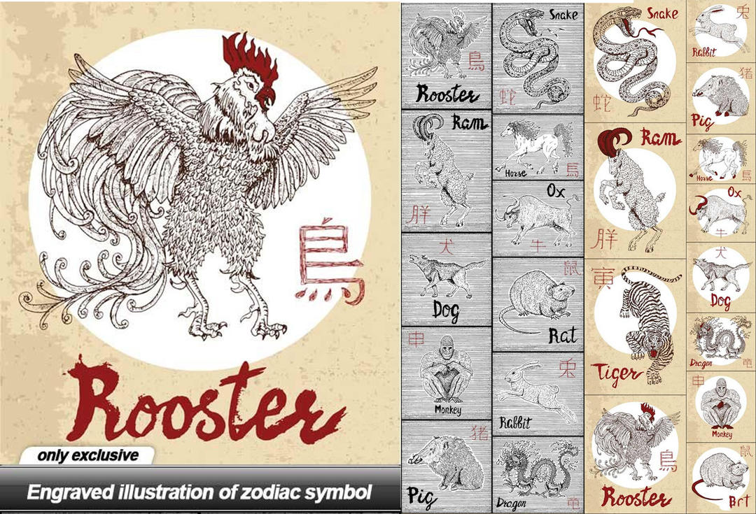 十二生肖矢量图12生肖动物矢量素材 Engraved illustration of zodiac symbol - 24 EPS