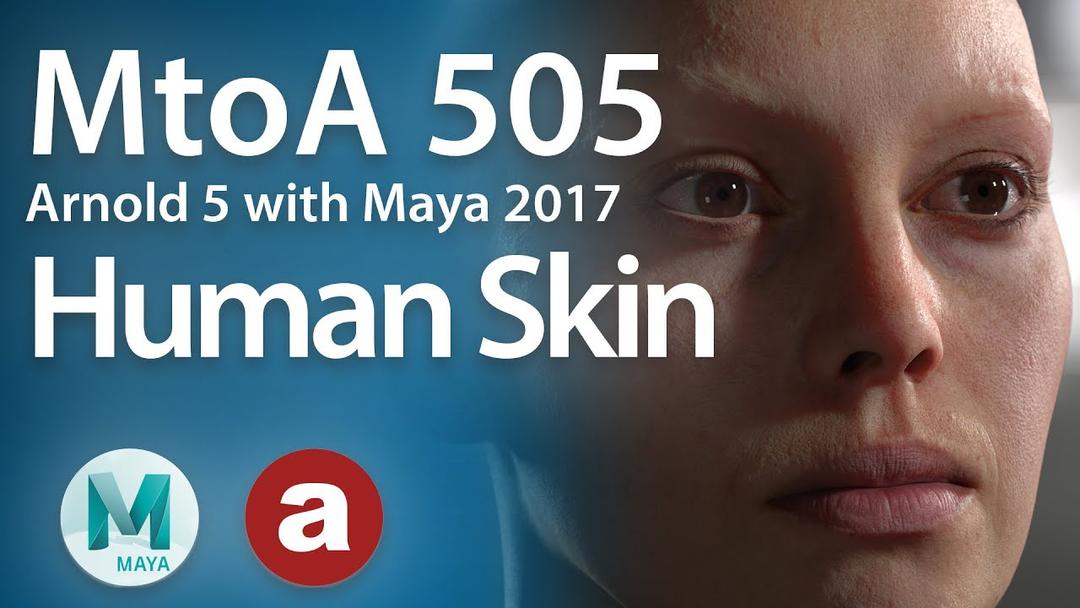 Maya/Arnold制作真实人体皮肤材质教程MtoA 505 Human Skin with Arnold 5