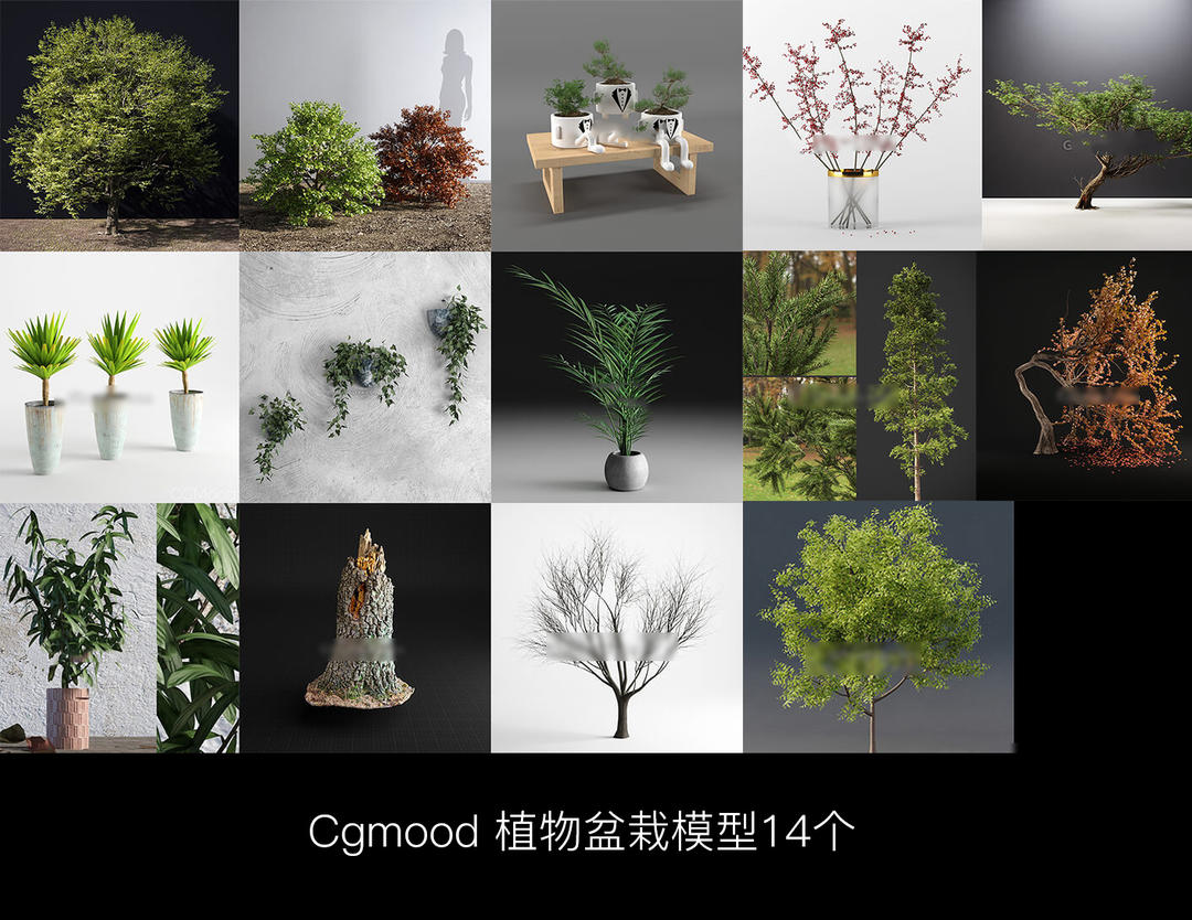 设计星素材分享平台cgmood 植物盆栽模型14个