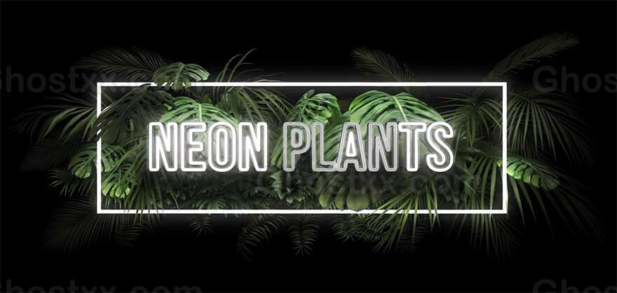  Neon Plants After Effects Text or Logo Intro Template霓虹植物效果After Effects文字或标志介绍