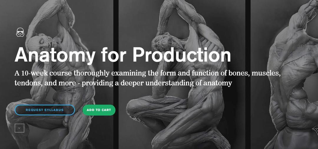 CGMA - Anatomy for Production