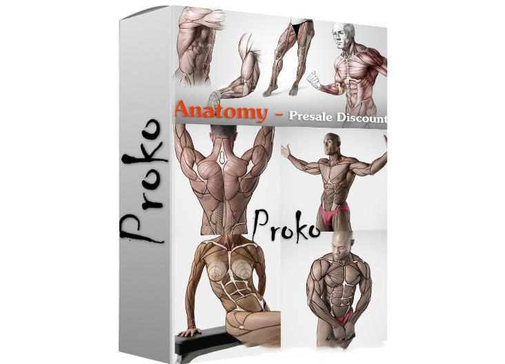 Proko-人体解剖高级付费版(中文字幕)256课