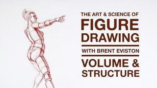 The Art Science of Figure Drawing  VOLUME STRUCTURE