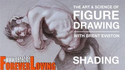 The Art  Science of Figure Drawing Shading