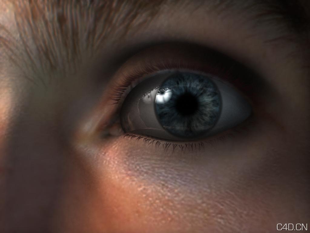 人物眼睛C4D模型 eye,3D模型 