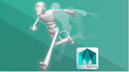3D Animation Walk and Run Cycle