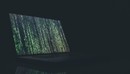 Pwn-X Modern Windows Exploitation-缩略图