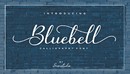 Bluebell - Calligraphy Font 英文书法字体-缩略图