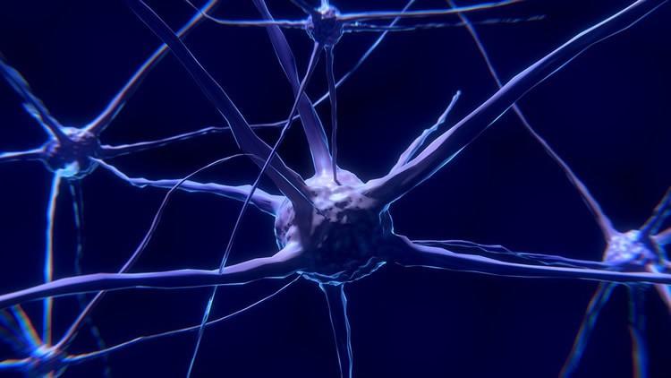 Deep Learning from Scratch 从头开始进行深度学习