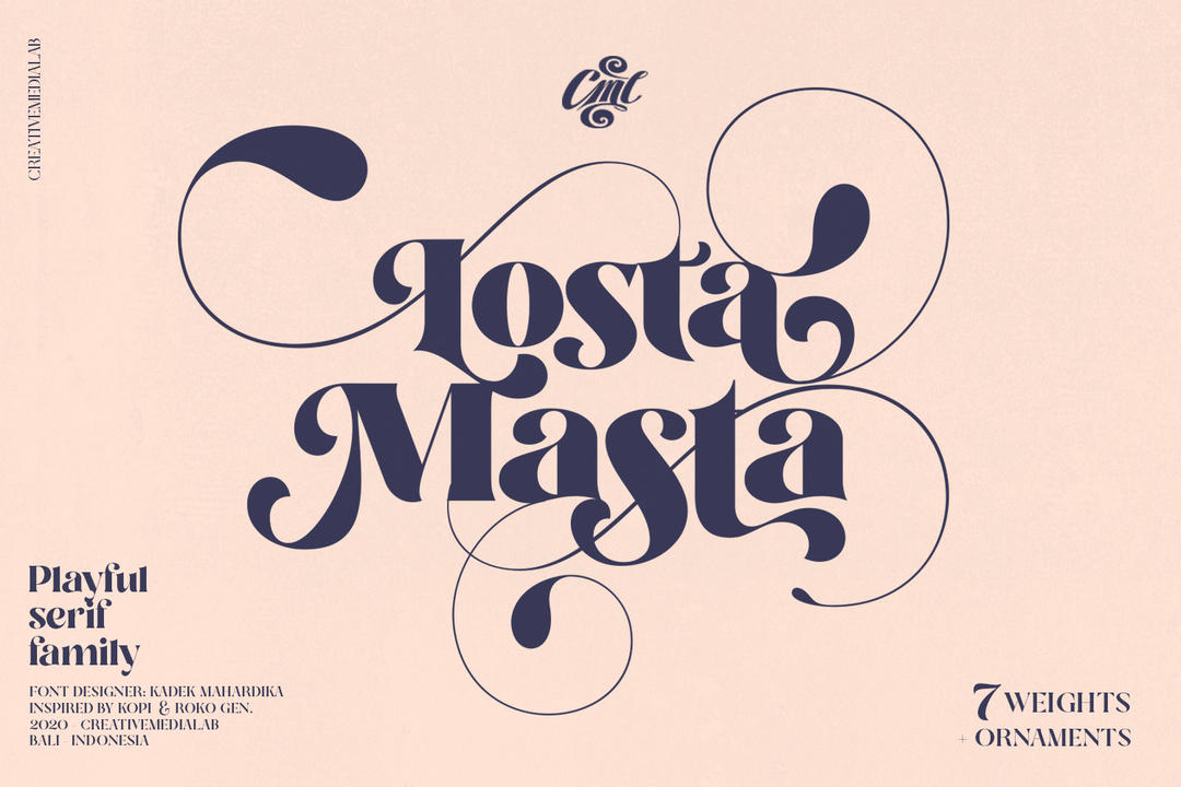Losta Masta - Playful Serif Family 4752253 英文装饰字体  英文品牌字体