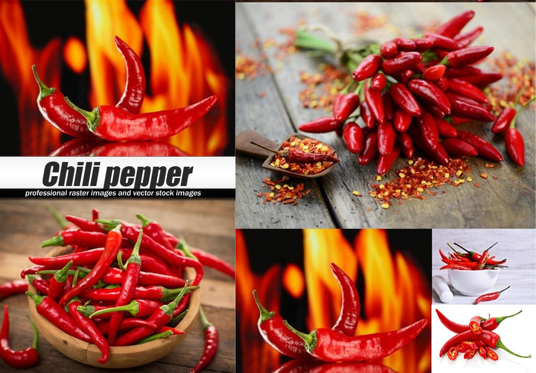  辣椒照片素材Chili Pepper 5xJPG