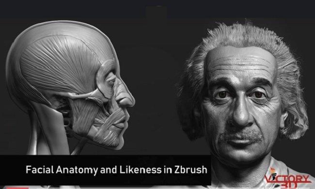 Zbrush Facial Anatomy and Likeness Character Sculpting 带项目文件+英语字幕