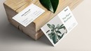 Flora Branding Mockup 4117037 鲜花店信封样机  绿植品牌样机-缩略图