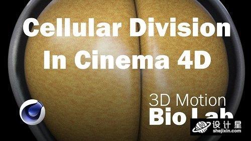 Cellular Division with Fields and the Volume Builder in Cinema 4D