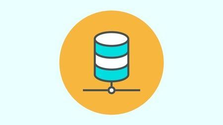 Bi Developer   Learn Power Bi  Ssis  Ssrs  Ssas Dw T Sql