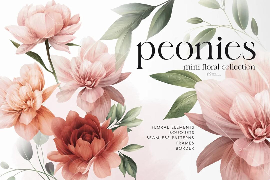 Peonies - floral collection 牡丹植物花卉素材