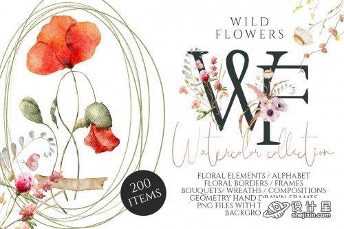 CreativeMarket - Wild Flowers watercolor collection 7113962