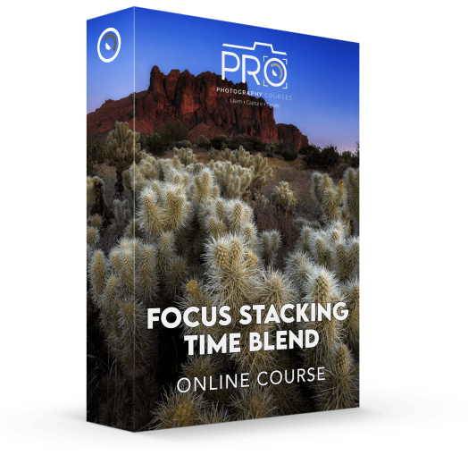 Pro Photo Courses - Focus Stacking Time Blend