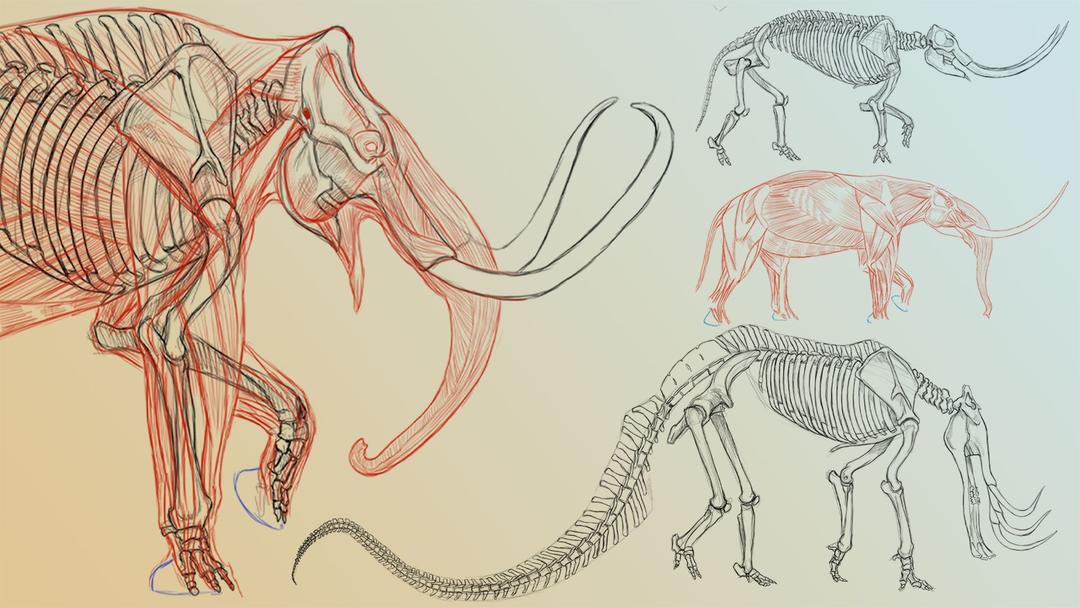 The Gnomon Workshop Elephant Anatomy Vol. 2 Prehistoric Studies Imaginary 