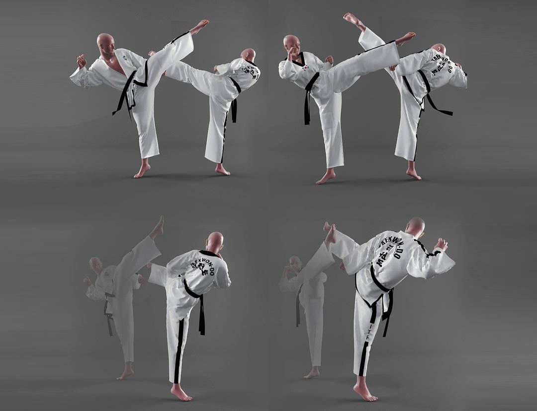  跆拳道 跆拳道人物模型  跆拳道角色 截拳道 Form of taekwondo 