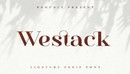 Westack - Modern Serif-缩略图