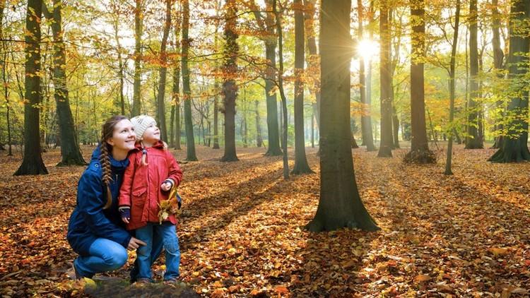 How to Share Nature with your Child