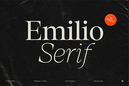 Emilio Serif Family (14 fonts)
