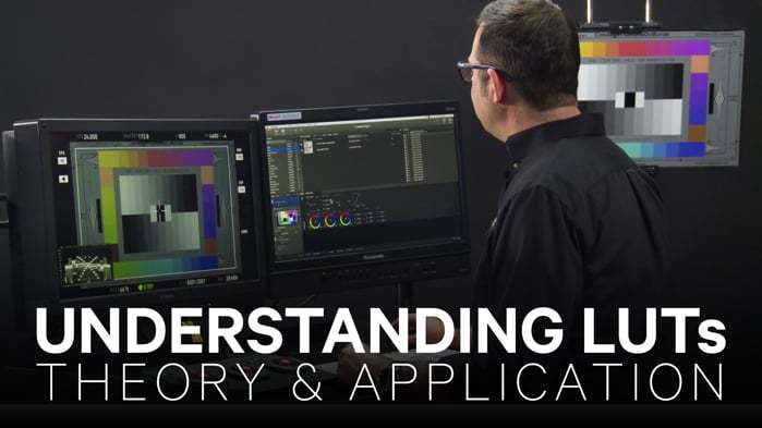 MZED - Understanding LUTs: Theory and Application
