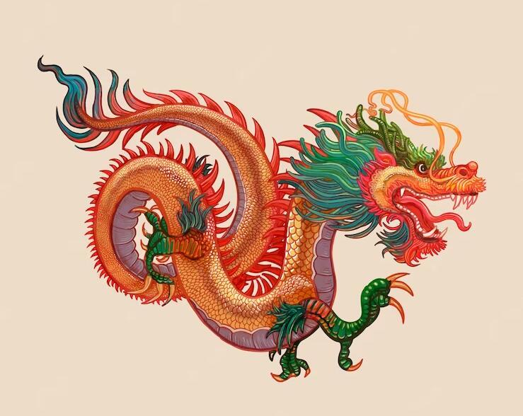 Chinese New year illustration 中国新年插图 中秋节元素插画 中国龙插画